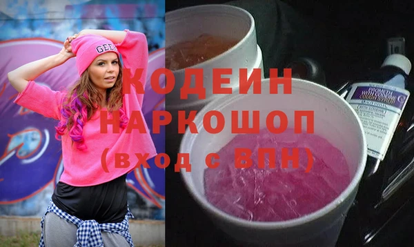 молекула духа Богородицк